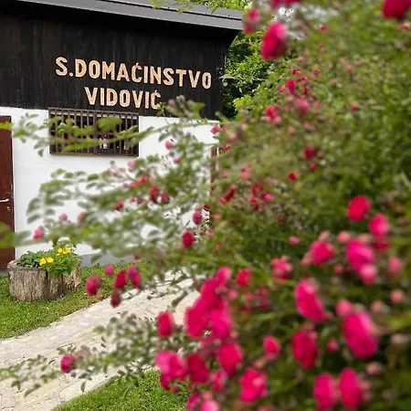 Seosko Domacinstvo Vidovic *